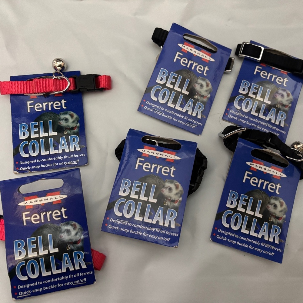 6 Marshall Pet Ferret Collar With Bell Jingle - Quick Snap Buckle Red & Black